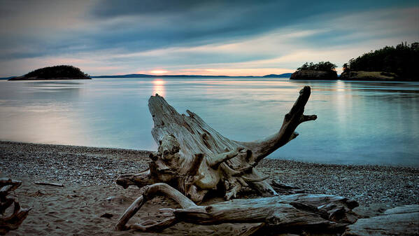 Deception Pass Art Print featuring the photograph Deception Pass Driftwood and Subtle Sunset by Scenic Edge Photography