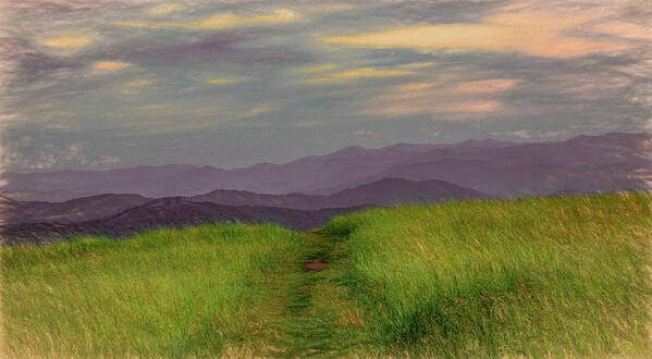 Appalachian Trail Art Print featuring the photograph Dusk Along the Appalachian Trail by Marcy Wielfaert