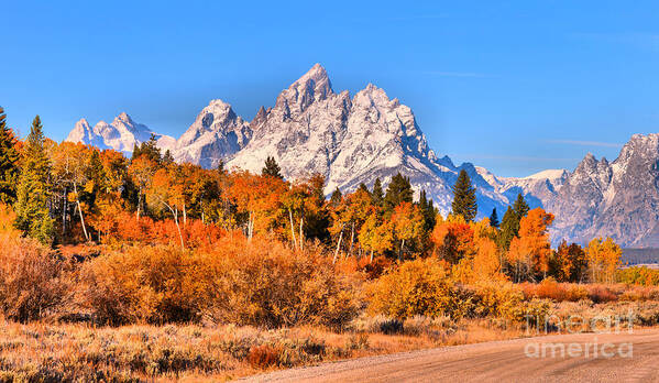 Grand Teton Art Print featuring the photograph Fall Foliage Under The Cathedral Group by Adam Jewell