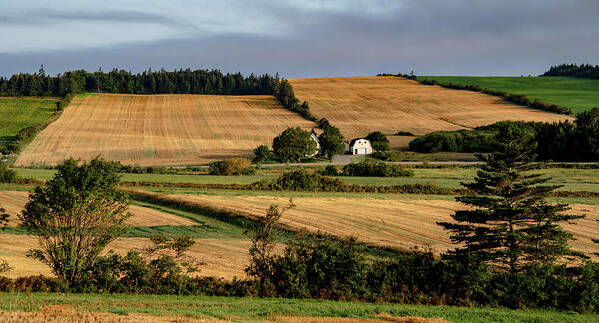 Pei Art Print featuring the photograph Fields and Farms Patchwork by Marcy Wielfaert