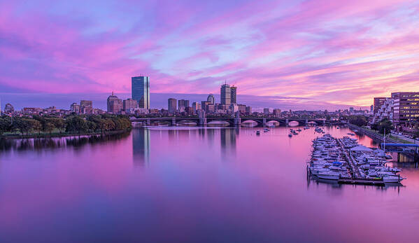 Boston Art Print featuring the photograph In The Pink by Rob Davies