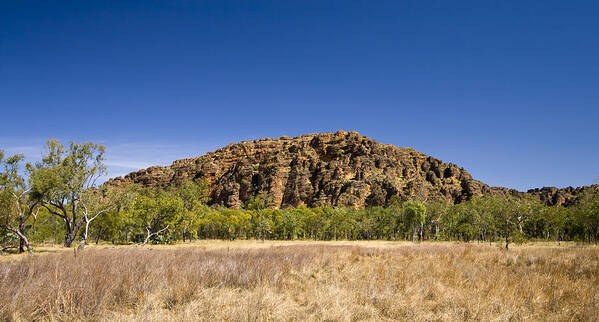 Grass Family Art Print featuring the photograph Keep River National Park by Samvaltenbergs