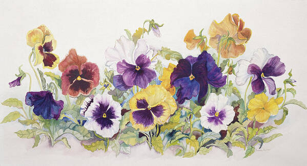 Pansies Art Print featuring the painting Pansies' Faces by Joanne Porter