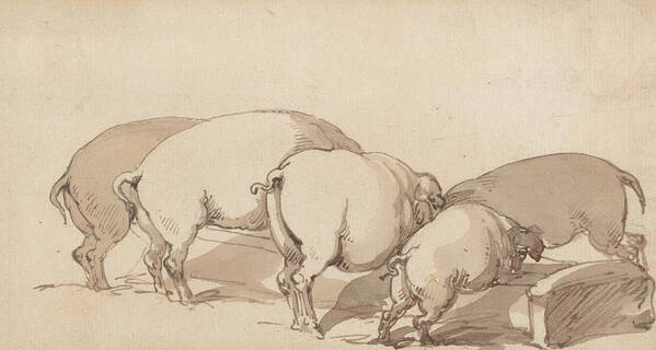 19th Century Art Art Print featuring the drawing Pigs at a Trough by Thomas Rowlandson