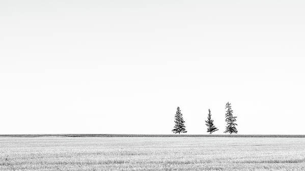 Alberta Art Print featuring the photograph Prairie Woodland by Hamish Mitchell