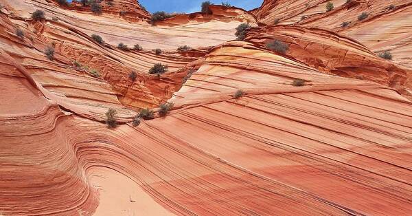 Tranquility Art Print featuring the photograph Sandstone Curves And Layers- Coyote by Photograph By Michael Schwab