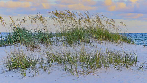 White Sand Art Print featuring the photograph Snowy Dune by Kevin Senter