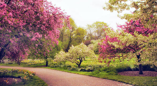 New York Botanical Garden Art Print featuring the photograph Spring Crescendo by Jessica Jenney