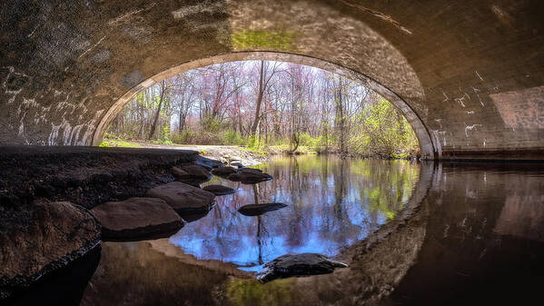 Spring Water Art Print featuring the photograph Springtime Tunnel Vision by John Randazzo