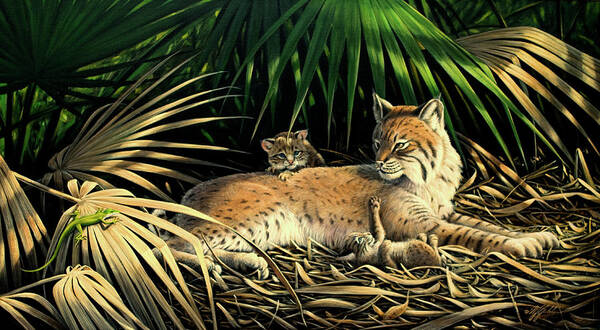 Sunny Spot Bobcat With Kittens Art Print featuring the painting Sunny Spot Bobcat With Kittens by Wilhelm Goebel