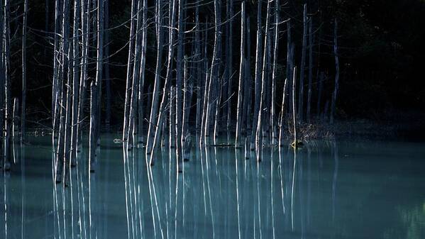 Tranquility Art Print featuring the photograph The Blue Pond by ©ichirou Hidano