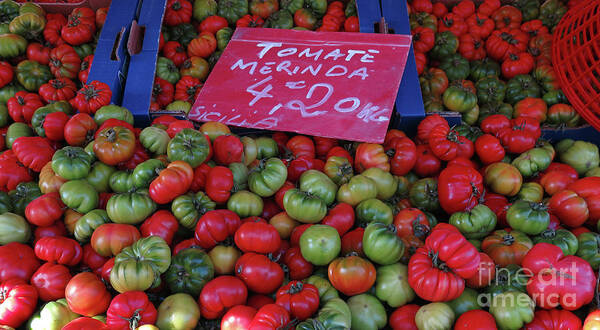Heirloom Tomatoes Art Print featuring the photograph Tomatoes by Terri Brewster