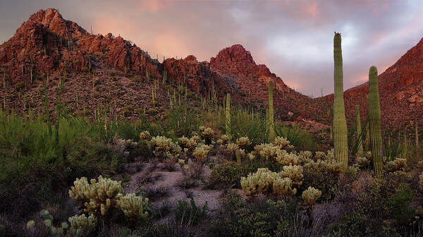 Tucson Art Print featuring the photograph Tucson Mountains Sunset by Dave Dilli
