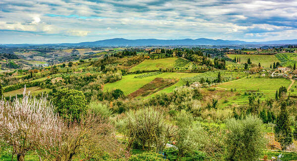 Tuscany Art Print featuring the photograph Verdant Tuscan Springtime by Marcy Wielfaert