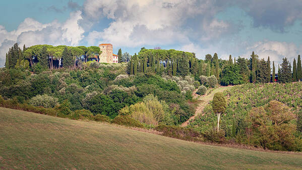 Tuscany Art Print featuring the photograph Vineyard Morning Tuscany Italy by Joan Carroll