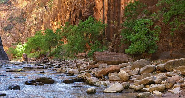 Zion Narrows Art Print featuring the photograph Virgin River Narrows by Stephanhoerold