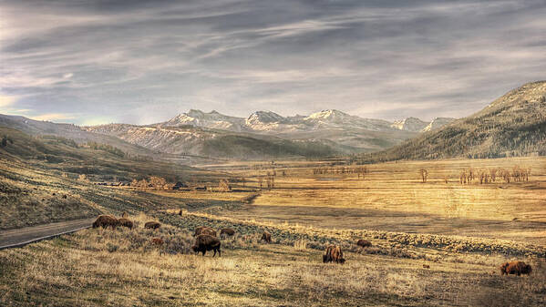 Lamar Valley Art Print featuring the digital art Lamar Valley #1 by CR Courson