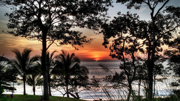 Nature Art Print featuring the photograph Sugar Beach Costa Rica #1 by Joe Palermo