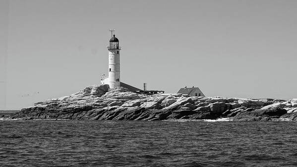 White Island Lighthouse Art Print featuring the photograph White Island Lighthouse #2 by Deb Bryce