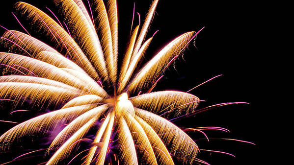 Fireworks Romeoville Illinois Yellow Purple Art Print featuring the photograph Fireworks in Romeoville, Illinois #4 by David Morehead
