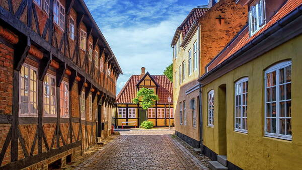 Denmark Art Print featuring the photograph Street and houses in Ribe town, Denmark #5 by Elenarts - Elena Duvernay photo