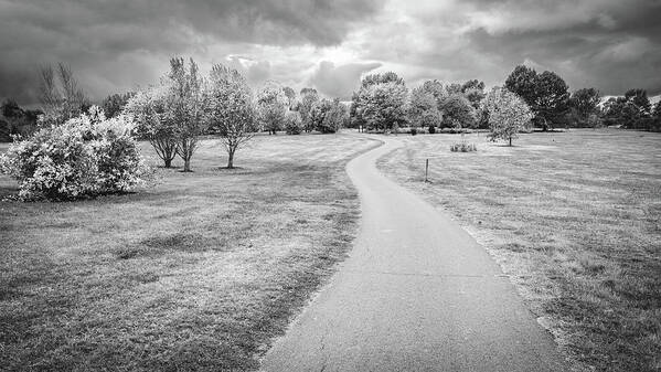 America Art Print featuring the photograph Arboretum trail BW by Alexey Stiop