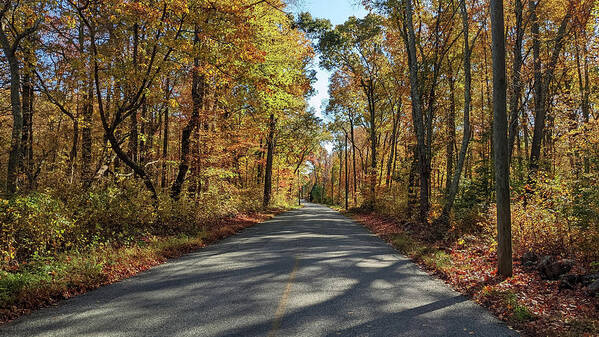 Autumn Art Print featuring the photograph Autumn Road - North Stonington CT by Kirkodd Photography Of New England