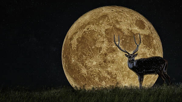 Hunter Art Print featuring the digital art Buck Moon Rising by Brad Barton