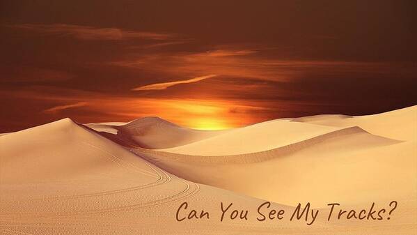 Sand Art Print featuring the photograph Can You See My Tracks? by Nancy Ayanna Wyatt