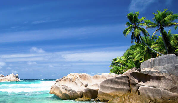 Bay Art Print featuring the photograph Coconut trees and rocks in the Seychelles by Jean-Luc Farges