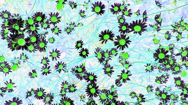 Daisies Art Print featuring the photograph Daisies of Green by Missy Joy