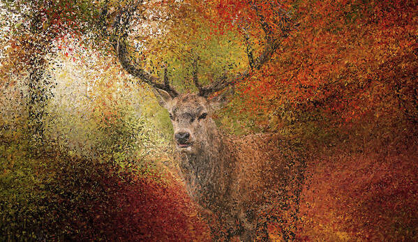 Deer Art Print featuring the painting Deer in the autumn forest by Alex Mir