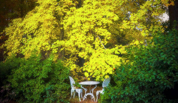 Autumn Art Print featuring the photograph Splendor of Autumn by Ola Allen