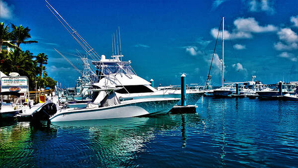 Boat Art Print featuring the digital art Docks of Key West 2 by Aldane Wynter