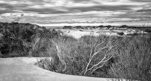 Beach Art Print featuring the photograph Dune Zone View at Cedar Island Beach by Bob Decker