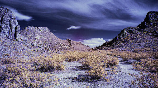 Texas Art Print featuring the photograph Dusk In The Grapevine Hills by Jim Cook