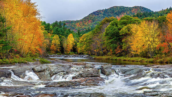 Ausable River Jay Ny Art Print featuring the photograph Fall in Jay Ny by Mark Papke