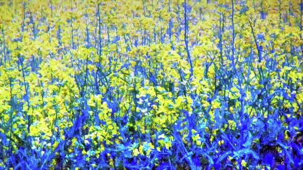 Field Of Color Art Print featuring the photograph Field of Color by Carol Montoya