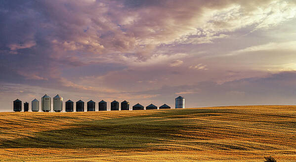 2020-09-30. Harvest. Fall. Colors Art Print featuring the photograph Grain Bins All In A Row by Phil And Karen Rispin
