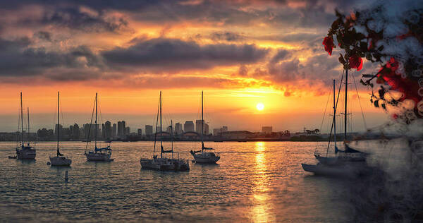 San Diego Bay Art Print featuring the photograph Harbour Living by Lee Sie