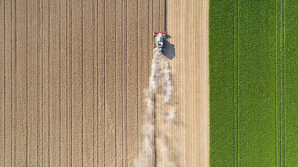 Dust Art Print featuring the photograph Harvesting a wheat field, dust clouds by Ollo