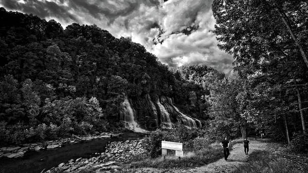Falls Art Print featuring the photograph Into the Gorge by George Taylor