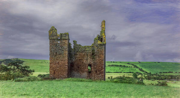 Ruins Art Print featuring the photograph Irish Countryside Charm by Marcy Wielfaert