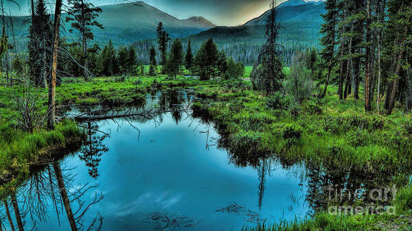 Rocky Mountains National Park Art Print featuring the photograph Landscape_Rocky Mountain National Park_IMGL3946 by Randy Matthews