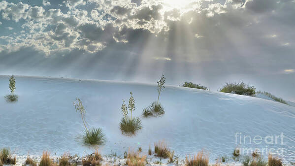 Landscape Art Print featuring the photograph Landscape_White Sands National Park_New Mexico_IMGL4028 by Randy Matthews
