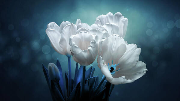 Flower Art Print featuring the photograph Midnight Whispers by Bill and Linda Tiepelman