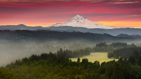 Jonsrud Viewpoint Art Print featuring the photograph Mt Hood by Peter Boehringer