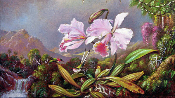 Martin Johnson Heade Art Print featuring the painting Orchids and Hummingbirds 2 by Martin Johnson Heade