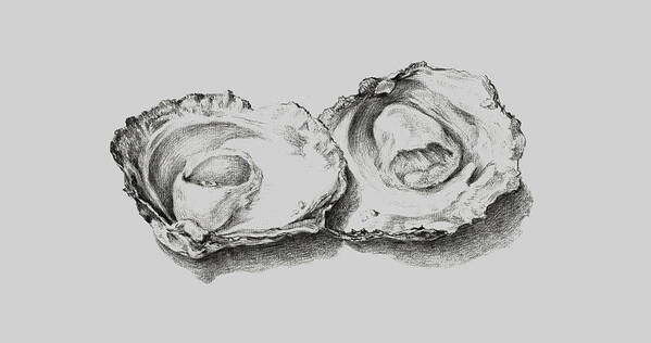 Animal Art Print featuring the painting Oysters White by Tony Rubino
