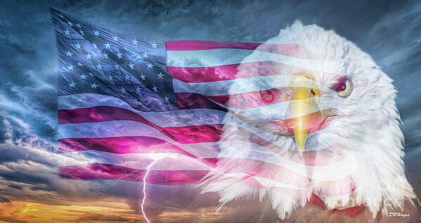 Eagles Art Print featuring the photograph Patriotic Sky III by DB Hayes